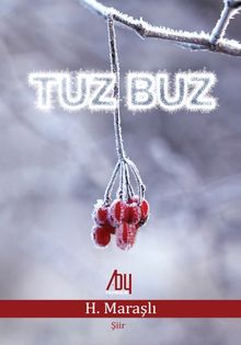 Tuz Buz 