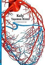 Kalp & Yaşamın Ritmi