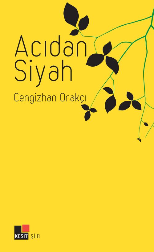 Acıdan Siyah 