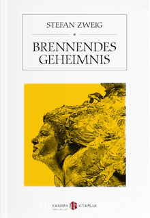 Brennendes Geheimnis - Stefan Zweig