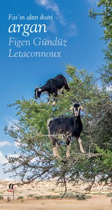 Fas’ın Altın İksiri Argan