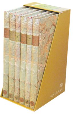 Farsça Mesnevi (6 Cilt - Kutulu)