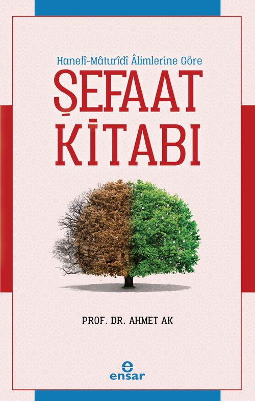 Hanefi - Maturidi Alimlerine Göre Şefaat Kitabı 