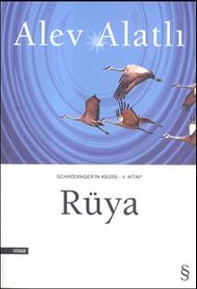 Rüya / Schrödinger'in Kedisi 2