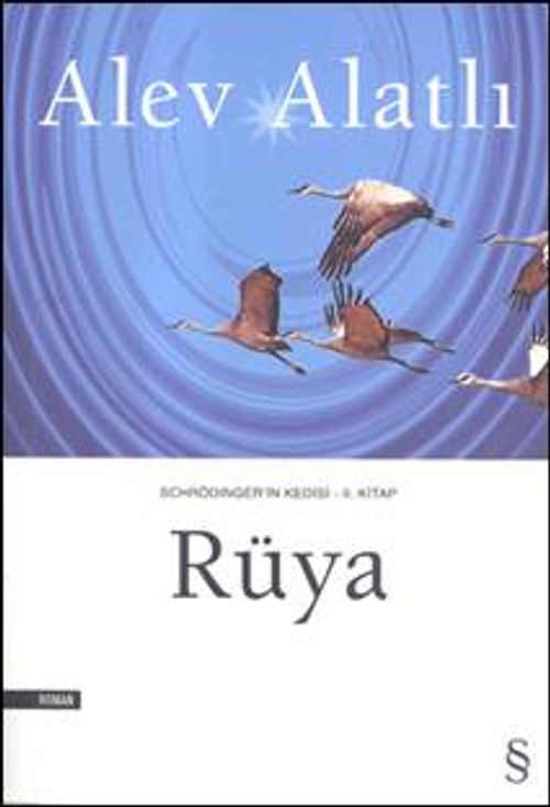 Rüya / Schrödinger'in Kedisi 2