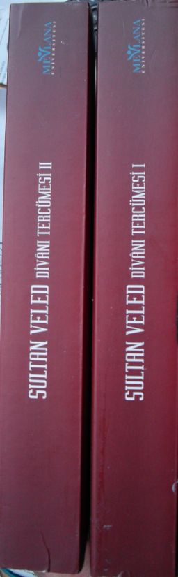 Sultan Veled Divanı Tercümesi (1-2 Takım)