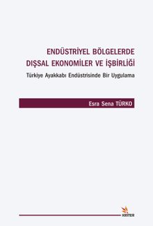 Endüstriyel Bölgelerde Dışsal Ekonomiler ve İşbirliği