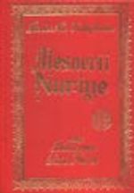 Mesnevi-i Nuriye (büyük boy sırtı deri bez ciltli)