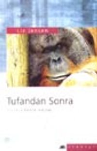 Tufandan Sonra