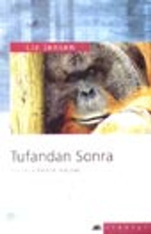 Tufandan Sonra