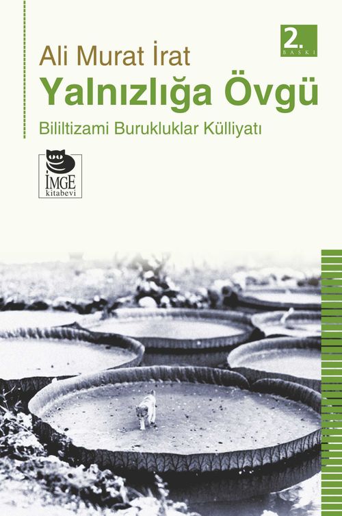 Yalnızlığa Övgü 