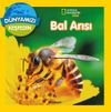 National Geographic Kids / Bal Arısı