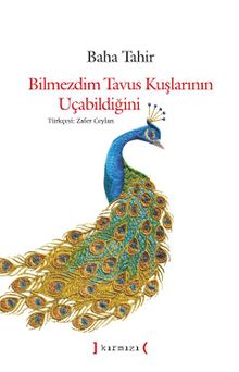 Bilmezdim Tavus Kuşlarının Uçabildiğini