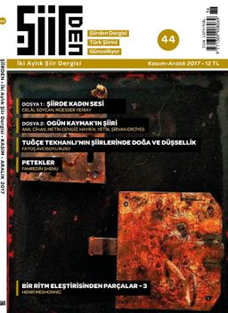 Şiirden İki Aylık Şiir Dergisi Sayı:44 Kasım-Aralık 2017