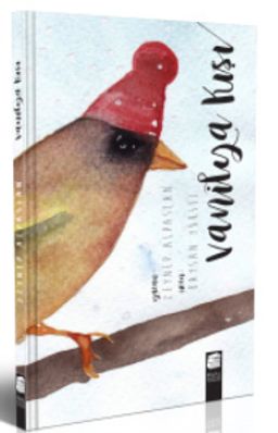 Vanilya Kışı (Ciltli)