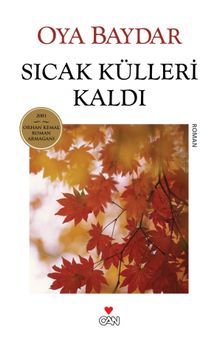 Sıcak Külleri Kaldı (Eski Kapak)