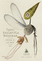 Tanrı Kuşlarıyla Buluşmak