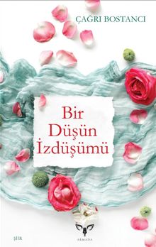 Bir Düşün İzdüşümü