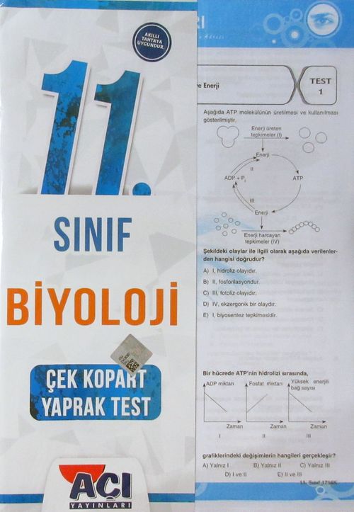 11. Sınıf Biyoloji Çek Kopart Yaprak Test