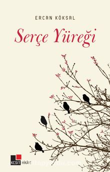 Serçe Yüreği - Ercan Köksal