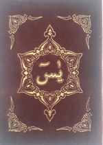 Türkçe Okunuşlu ve Mealli Sesli Yasin (Çanta Boy)