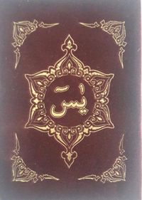 Türkçe Okunuşlu ve Mealli Sesli Yasin (Çanta Boy)