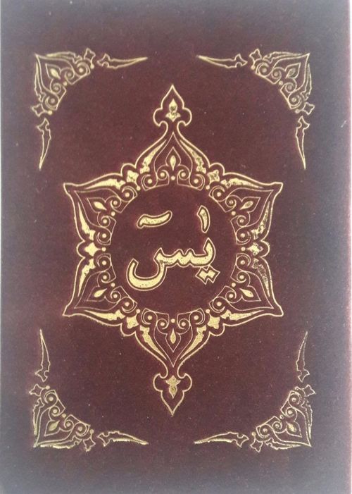Türkçe Okunuşlu ve Mealli Sesli Yasin (Çanta Boy)