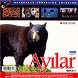Ayılar (VCD)