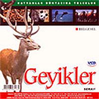 Geyikler (VCD)
