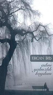 Adını Yalnızlık Koydum