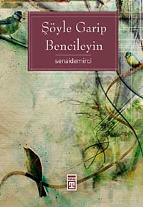 Şöyle Garip Bencileyin
