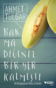 Bakmadığınız Bir Yer Kalmıştı - Ahmet Tulgar