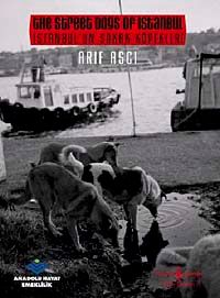 İstanbul'un Sokak Köpekleri