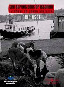 İstanbul'un Sokak Köpekleri