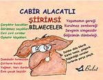 Şiirimsi Bilmeceler