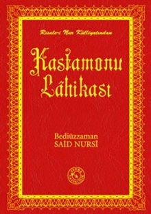 Kastamonu Lahikası (14x20)