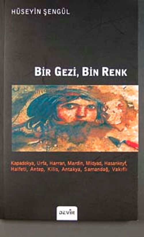 Bir Gezi, Bin Renk