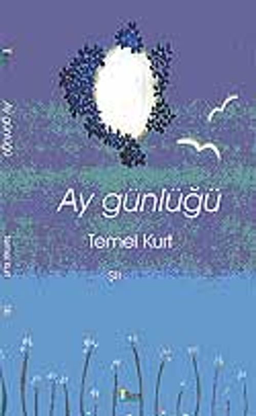 Ay Günlüğü