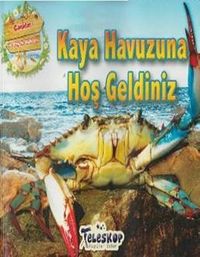 Kaya Havuzuna Hoş Geldiniz