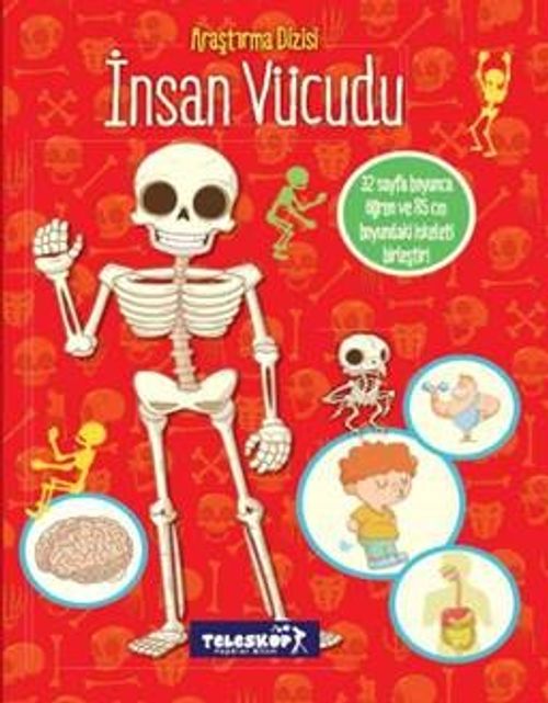 İnsan Vücudu / Araştırma Dizisi
