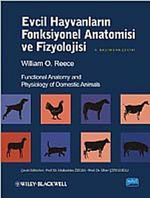 Evcil Hayvanların Fonksiyonel Anatomisi ve Fizyolojisi
