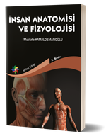 İnsan Anatomisi ve Fizyolojisi