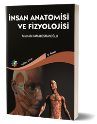 İnsan Anatomisi ve Fizyolojisi