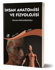 İnsan Anatomisi ve Fizyolojisi