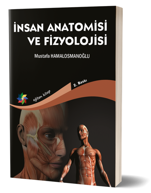 İnsan Anatomisi ve Fizyolojisi