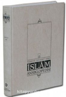 İslam Ansiklopedisi 42.Cilt - Prof. Dr. Mehmet Âkif Aydın