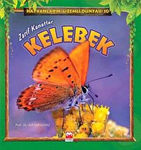 Zarif Kanatlar - Kelebek /  Hayvanların Gizemli Dünyası -10