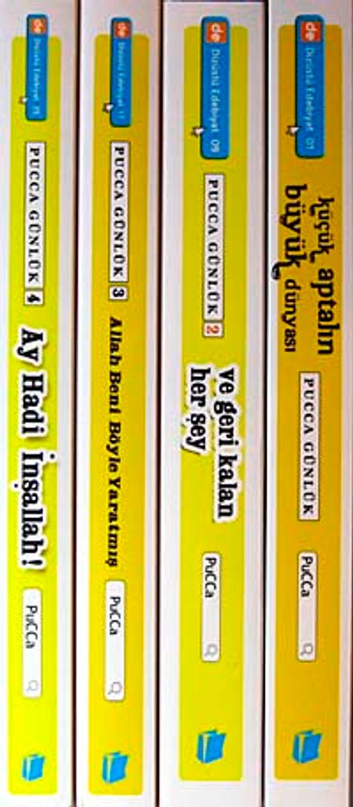 Pucca Günlük (4 Kitap)