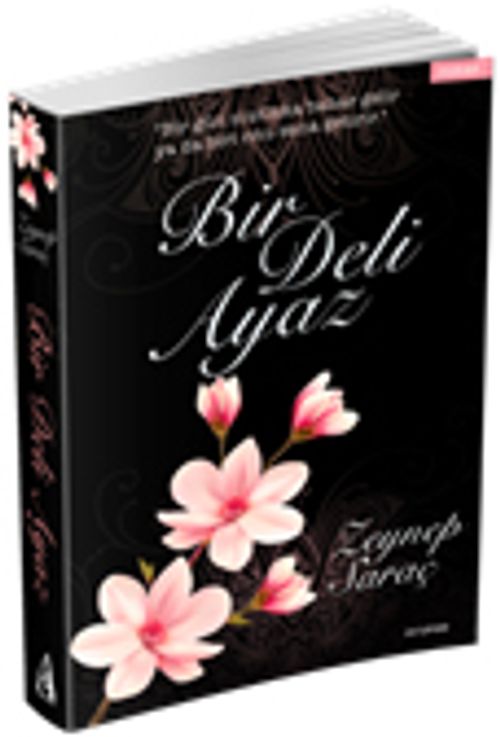 Bir Deli Ayaz
