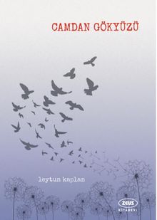 Camdan Gökyüzü